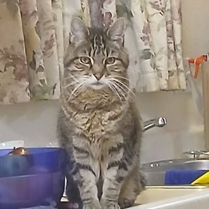 Meet your Posher, Bruce